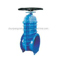 Heavy Caliber Resilient Seated Gate Valve